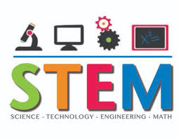 logo stem